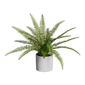Künstlicher Farn - Isa | 35 cm