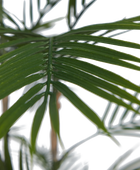 Künstliche Bergpalme - Nolte | 140 cmr