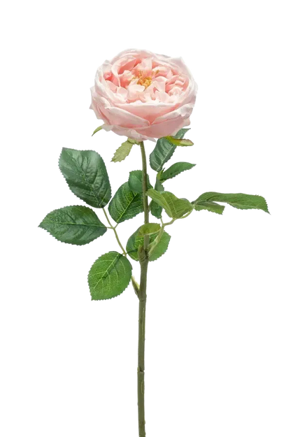 Künstliche Rose - Samantha, 60 cm, Kunstblume von aplanta, Real Touch, Steckpflanze, in Pfirsich, für drinnen