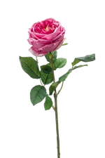 Künstliche Rose - Charlotte, 60 cm, Kunstblume von aplanta, Real Touch, Steckpflanze, in Altes Pink, für drinnen