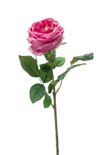 Künstliche Rose - Charlotte, 60 cm, Kunstblume von aplanta, Real Touch, Steckpflanze, in Altes Pink, für drinnen