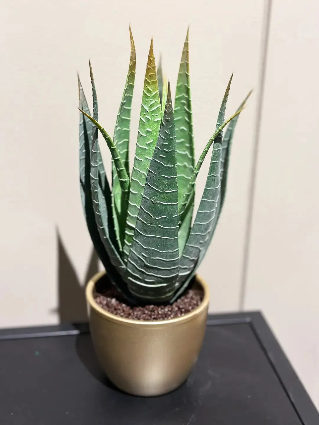 Künstliche Aloe - Patricia | 23 cm | Kunstpflanze von aplanta