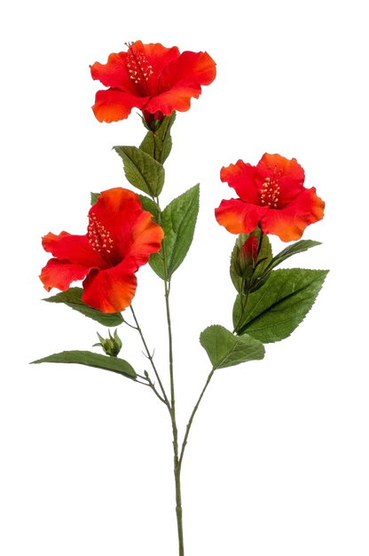 Hochwertige Kunstpflanze | Künstlicher Hibiskus Zweig - Tara | 82 cm von 🌱aplanta