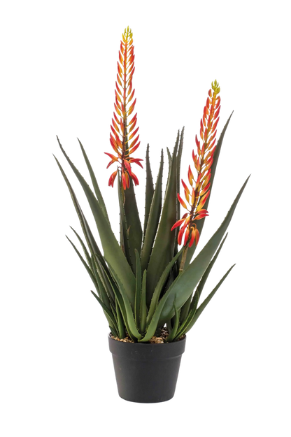 Künstliche Aloe - Paulina, 80 cm, Kunstpflanze von aplanta, im schwarzen Topf, in Natur, für drinnen