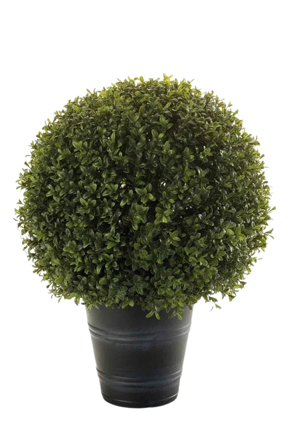 Hochwertige Kunstpflanze | Künstlicher Buchsbaum - Ron | 25 cm von 🌱aplanta