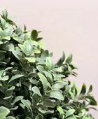 Künstlicher Buchsbaum-Ball – Corvyn | 53 cm