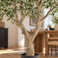 Künstlicher Olivenbaum - Mars | 250 cm