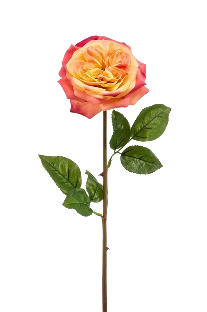 Künstliche Rose - Ginny, 60 cm, Kunstblume von aplanta, Steckpflanze, in Pink / Gelb, für drinnen