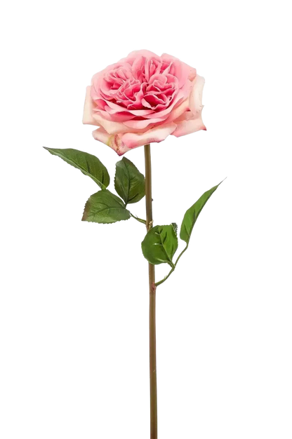 Künstliche Rose - Fleur, 60 cm, Kunstblume von aplanta, Steckpflanze, in Pink, für drinnen