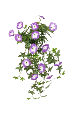 Künstliche Morning Glory - Zinedine | 65 cm | UV-beständig