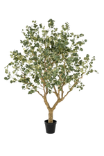 Künstlicher Eucalyptus - Kalli, 240 cm, Kunstbaum von aplanta, in Grün, für drinnen