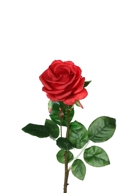 Künstliche Rose - Philipos, 66 cm, Kunstblume von aplanta, Real Touch, in Rot, für drinnen