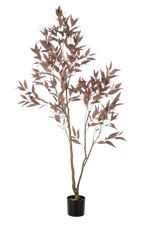 Künstlicher Eucalyptus - Fey, 200 cm, Kunstbaum von aplanta, in Rot, für drinnen