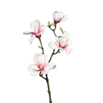 Künstliche Magnolien Zweig - Lea auf transparentem Hintergrund mit echt wirkenden Kunstblättern in natürlicher Anordnung. Künstliche Magnolien Zweig - Lea hat die Farbe weiß-rosa und ist 80 cm hoch. | aplanta Kunstpflanzen