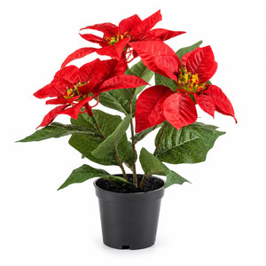 Künstlicher Weihnachtsstern – Angelique | 24 cm Rot