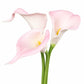 Künstlicher Calla-Lilien Bund – Starla | 34 cm Pink