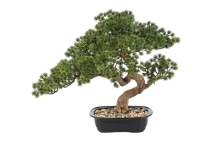 Künstlicher Bonsai - Sofia | 44 cm