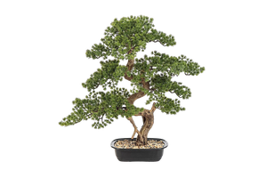 Künstlicher Bonsai - Rupert | 68 cm