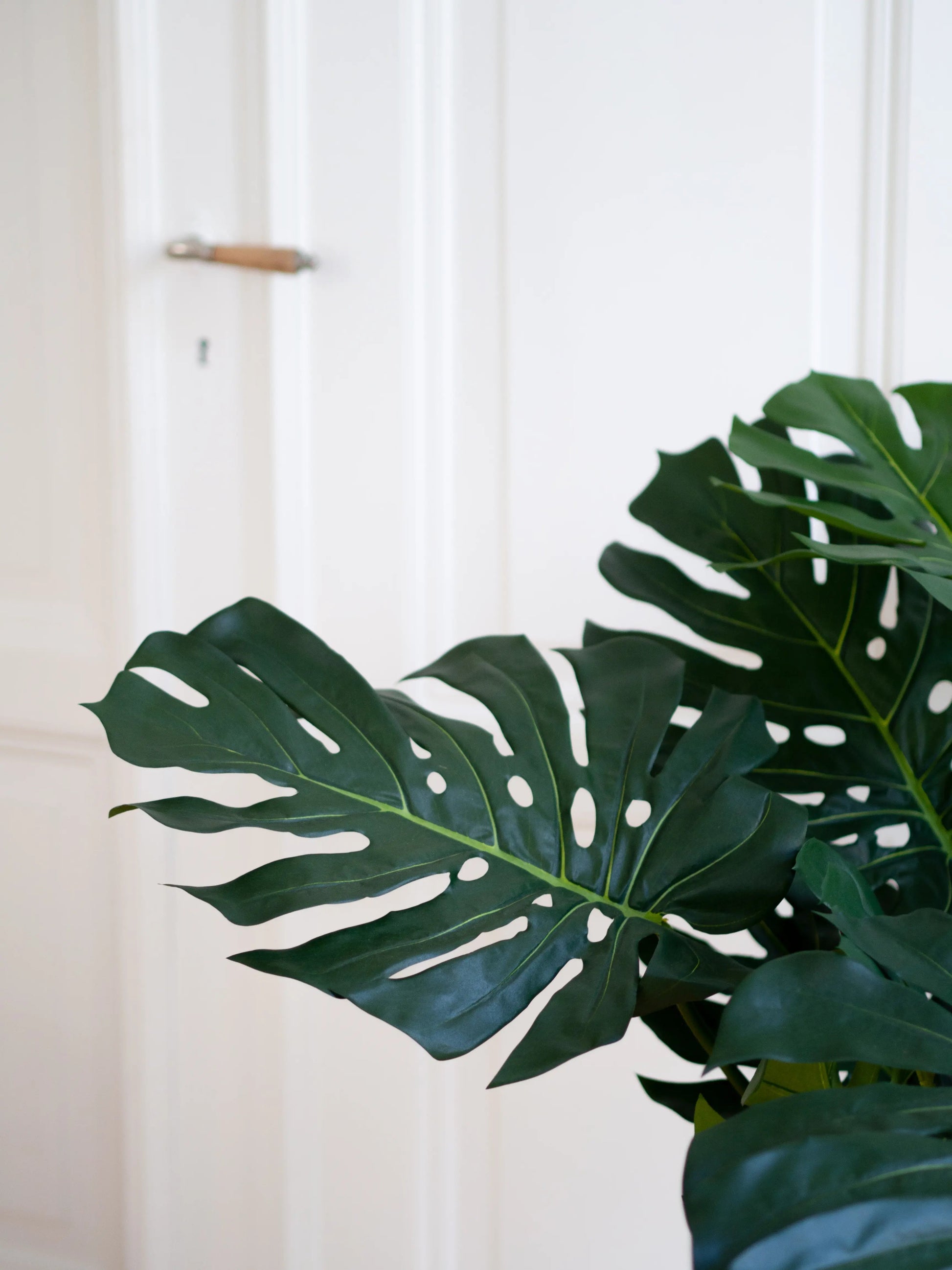 Künstlicher Philodendron - Fatima | 100 cm