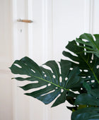 Künstliche Monstera - Fatima | 100 cm