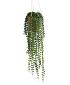 Künstlicher Hänge Kletterficus - Kjell | 60 cm