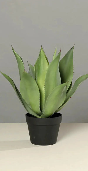 Künstliche Agave - Mustafa | 48 cm - Kunstpflanzen von aplanta