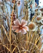 Künstliche Wiesenblumen - Ambre | 40 cm