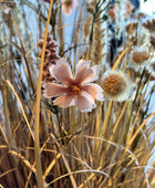 Künstliche Wiesenblumen - Ambre | 40 cm