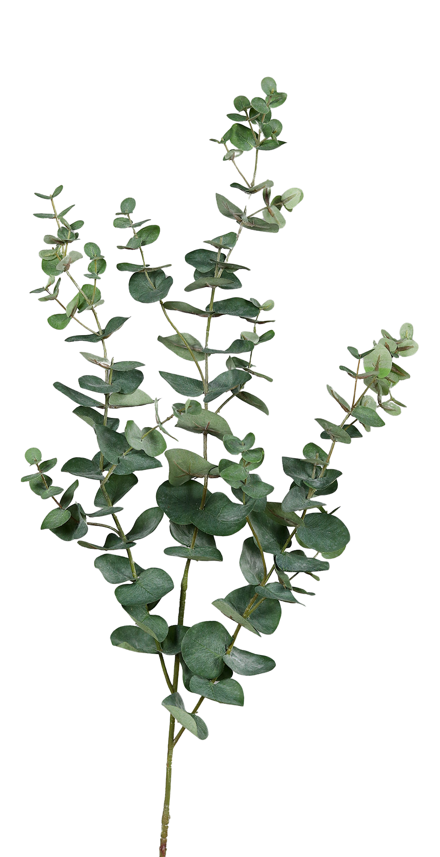Künstlicher Eukalyptus Zweig - Cobra, 113 cm, Kunstbaum von aplanta, Steckpflanze, in Grün, für drinnen