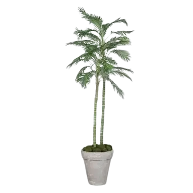 Künstliche Chico Palme - Richi, 180 cm, Kunstbaum von aplanta, Real Touch, im schwarzen Topf, in Natur, für drinnen