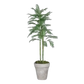 Künstliche Chico Palme - Richi, 180 cm, Kunstbaum von aplanta, Real Touch, im schwarzen Topf, in Natur, für drinnen