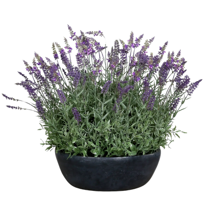 Künstlicher Lavendel - Thorfinn | 60 cm | in grauer Schale