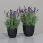Künstlicher Lavendel - Ibo, 31 cm, Kunstblume von aplanta, in Lavender, für drinnen