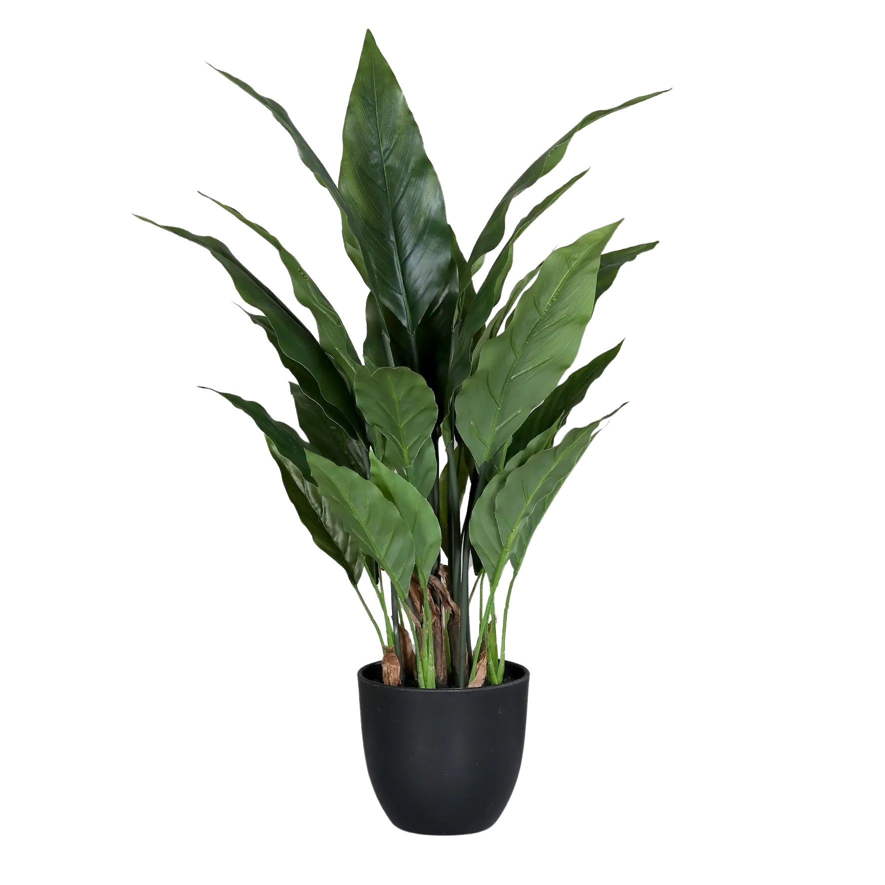 Künstliches Spathiphyllum - Abel | 55 cm