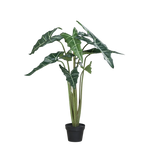 Künstliche Alocasia - Marco, 100 cm, Kunstpflanze von aplanta, in Grün, für drinnen