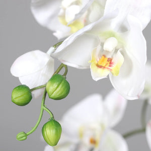 Künstliche Orchidee - Aylin | 120 cm, Real Touch - Kunstpflanzen von aplanta