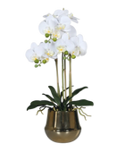 Künstliche Orchidee - Rin | 64 cm | im Goldtopf