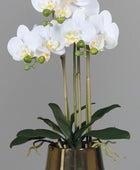 Künstliche Orchidee - Rin | 64 cm | im Goldtopf - Kunstpflanzen von aplanta