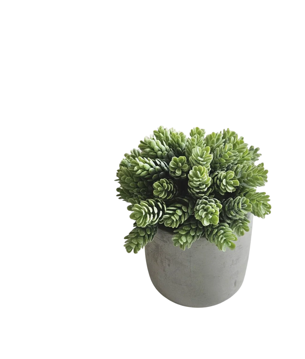 Künstliche Sukkulente - Rema | 18 cm