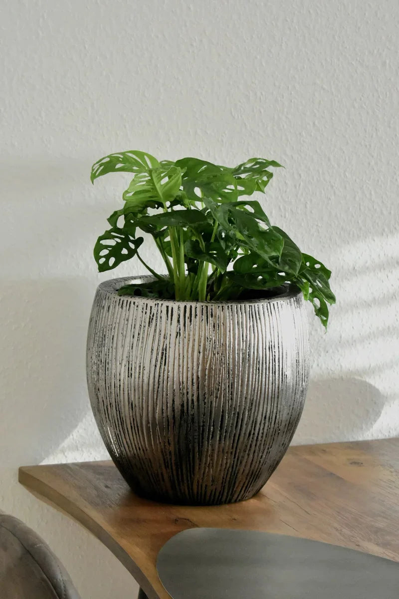 Pflanzkübel - Antoine | 29x28x28 cm - Kunstpflanzen von aplanta