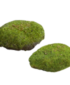 Deko Moosschwamm - Hanni auf transparentem Hintergrund mit echt wirkenden Kunstblättern in natürlicher Anordnung. Deko Moosschwamm - Hanni hat die Farbe Natur und ist 10 cm hoch. | aplanta Kunstpflanzen