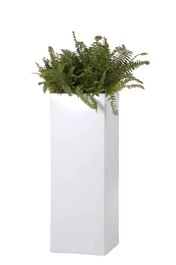 Pflanzkübel - Enisa | 29x29x80 cm, Weiß