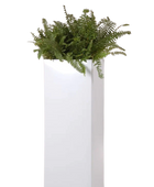 Pflanzkübel - Enisa | 29x29x80 cm, Weiß