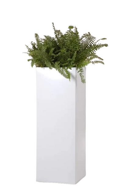 Pflanzkübel - Enisa, 29x29x80cm, von aplanta, in Weiß