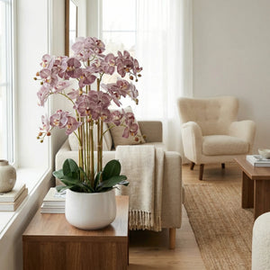 Künstliche Orchidee - Chen | 80 cm