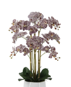 Künstliche Orchidee - Chen | 80 cm