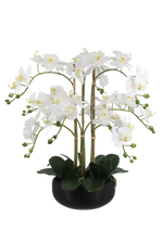 Künstliche Orchidee - Bo, 65 cm, Kunstblume von aplanta, inkl. Dekotopf, in Weiß, für drinnen