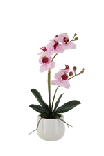 Künstliche Orchidee - Tian | 45 cm