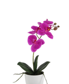 Künstliche Orchidee - Juan | 36 cm