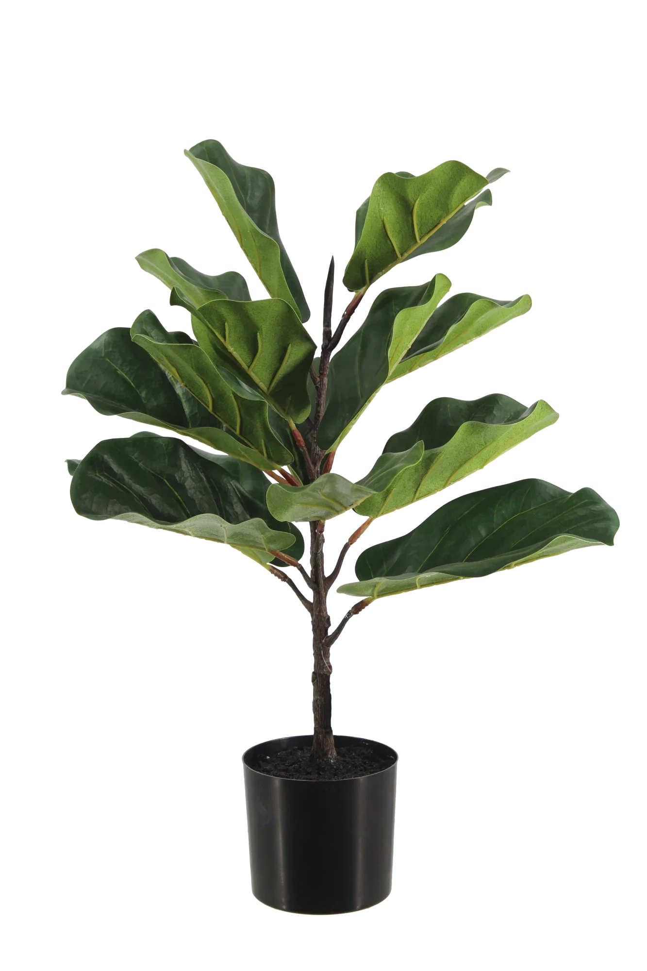 Künstlicher Ficus Lyrata - Luan | 60 cm